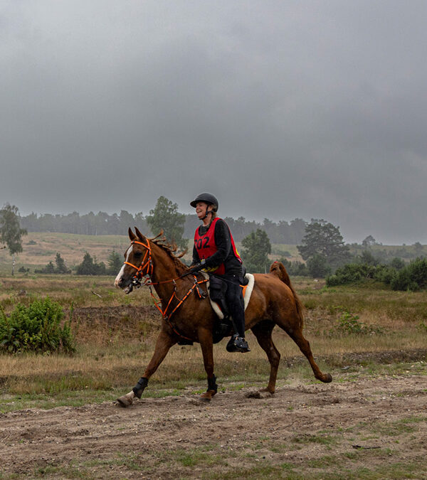 Wedstrijd 6 juli 2025